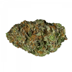 Pluto Kush Strain - Online Weed Shop