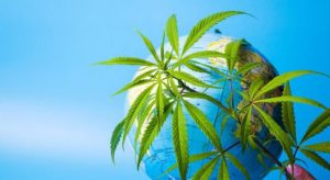 Mail Order Marijuana & Weed Online Dispensary in Canada 1