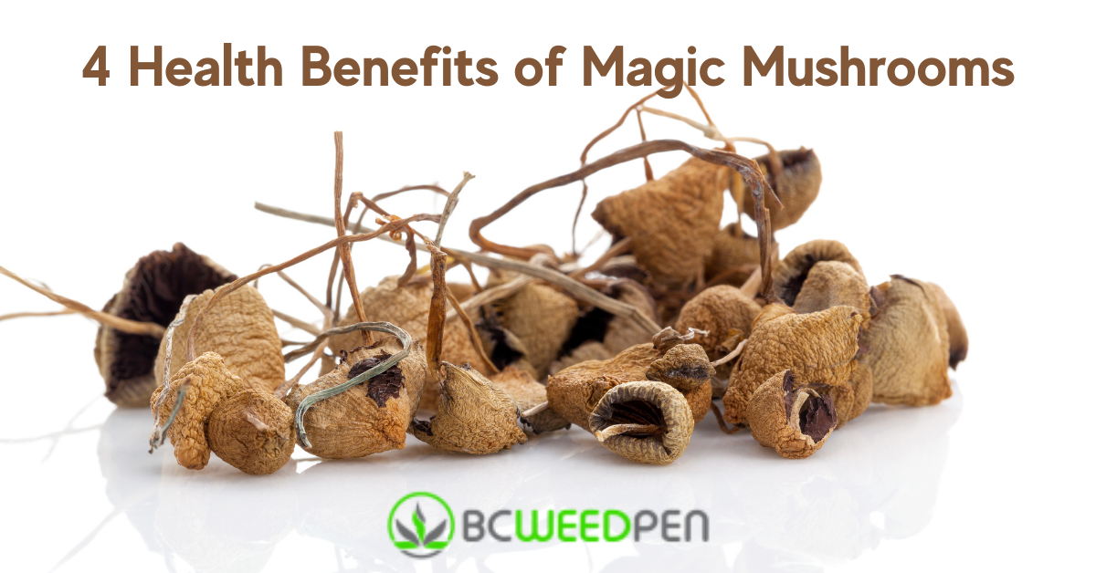 4 Health Benefits of Magic Mushrooms
