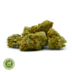 Fucking Incredible weed strain online