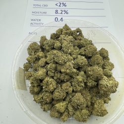 Popeye weed strain