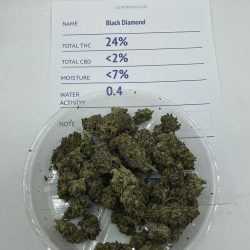 Black Diamond Weed Strain - AA - SMALLS