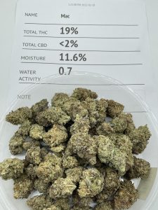 Mac Weed Strain - 19% THC
