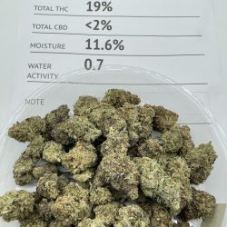 Mac Weed Strain - 19% THC