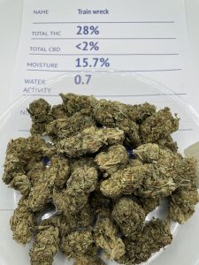TrainWreck weed strain - 28% THC