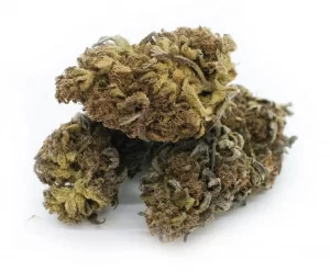 AA Flower Strain Picked By Budtender